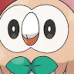 Meet your Posher, Zena